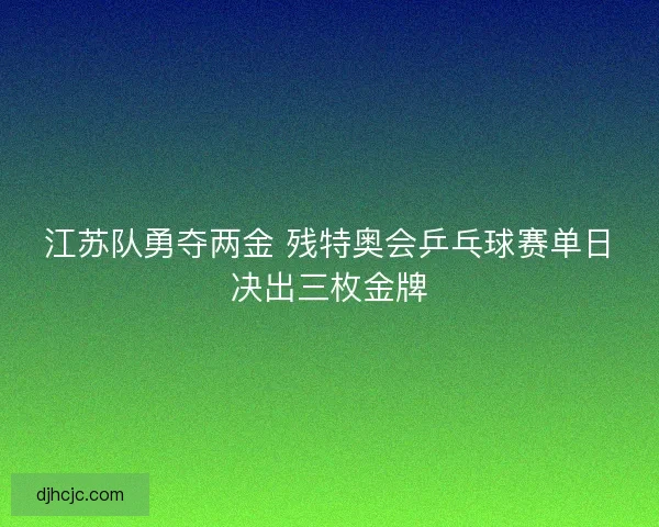 江苏队勇夺两金 残特奥会乒乓球赛单日决出三枚金牌